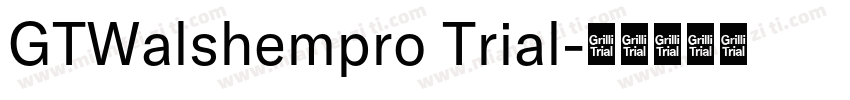 GTWalshempro Trial字体转换